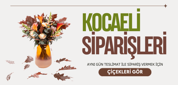 Bloom and Fresh Banner resmi